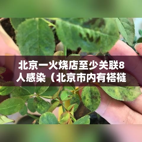 北京一火烧店至少关联8人感染（北京市内有褡裢火烧的歺馆）