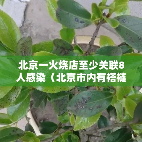 北京一火烧店至少关联8人感染（北京市内有褡裢火烧的歺馆）