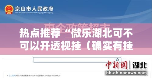热点推荐“微乐湖北可不可以开透视挂（确实有挂）