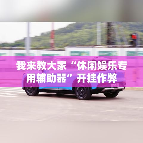 我来教大家“休闲娱乐专用辅助器”开挂作弊