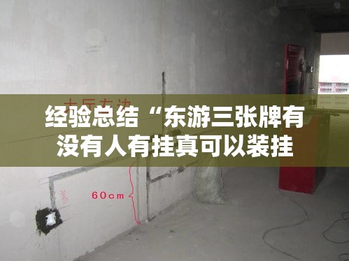 经验总结“东游三张牌有没有人有挂真可以装挂