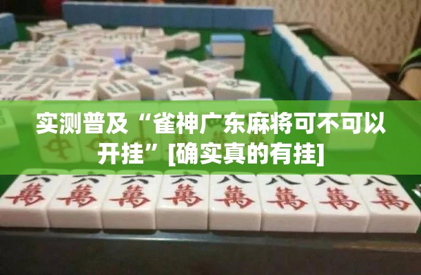 实测普及“雀神广东麻将可不可以开挂	”[确实真的有挂]