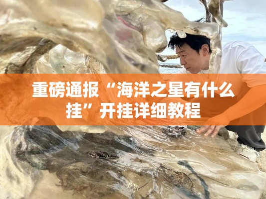 重磅通报“海洋之星有什么挂”开挂详细教程