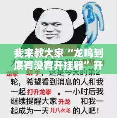 我来教大家“龙鸣到底有没有开挂器”开挂神器
