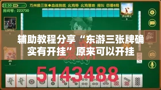 辅助教程分享“东游三张牌确实有开挂”原来可以开挂
