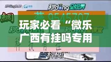 玩家必看“微乐广西有挂吗专用软件”分享详细开挂教程