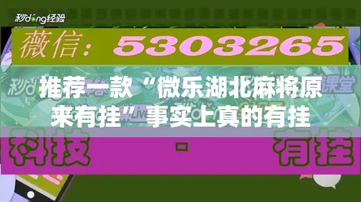 推荐一款“微乐湖北麻将原来有挂”事实上真的有挂