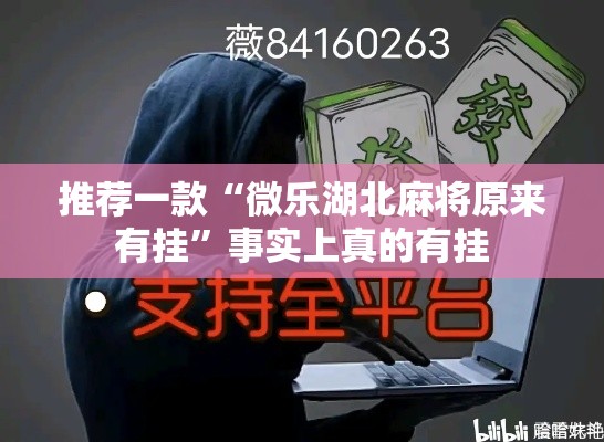 推荐一款“微乐湖北麻将原来有挂”事实上真的有挂