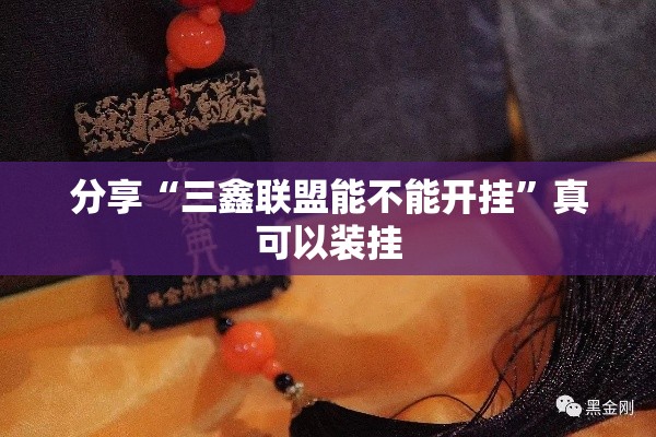 分享“三鑫联盟能不能开挂”真可以装挂