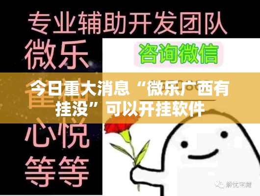 今日重大消息“微乐广西有挂没”可以开挂软件