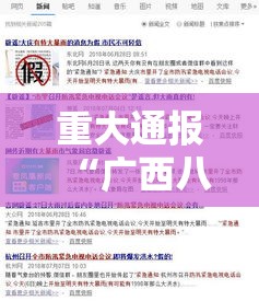 重大通报“广西八一字牌有没有挂辅助事实上确实有挂