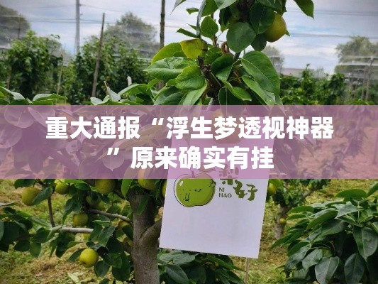 重大通报“浮生梦透视神器”原来确实有挂