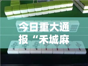 今日重大通报“禾城麻将的确有挂”开挂方法