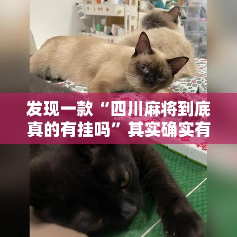 发现一款“四川麻将到底真的有挂吗”其实确实有挂