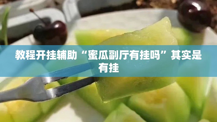 教程开挂辅助“蜜瓜副厅有挂吗”其实是有挂