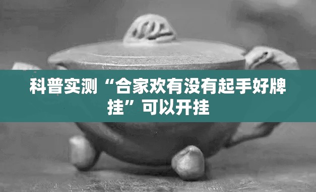 科普实测“合家欢有没有起手好牌挂”可以开挂