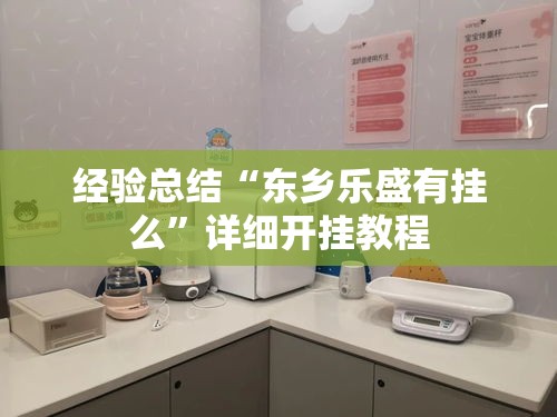 经验总结“东乡乐盛有挂么”详细开挂教程