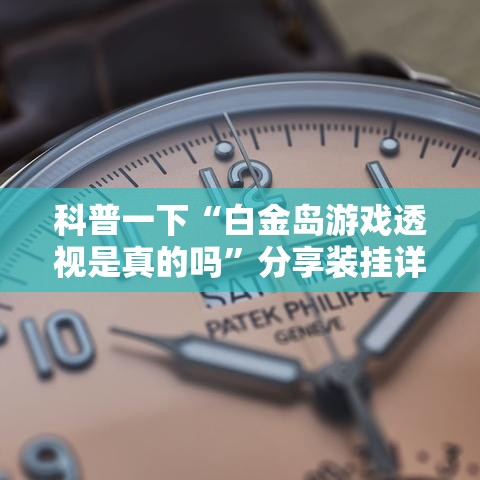 科普一下“白金岛游戏透视是真的吗”分享装挂详细步骤