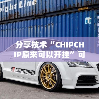 分享技术“CHIPCHIP原来可以开挂	”可以辅助
