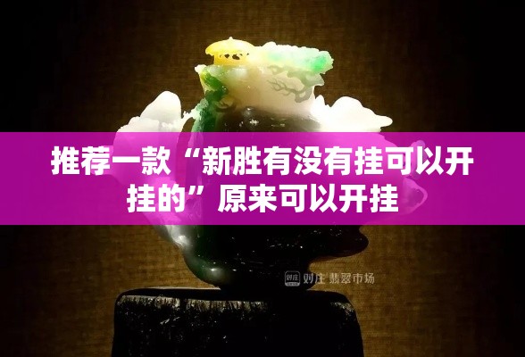 推荐一款“新胜有没有挂可以开挂的”原来可以开挂