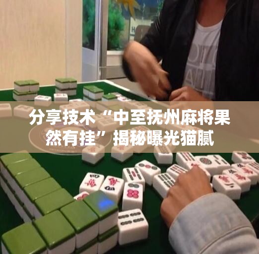 分享技术“中至抚州麻将果然有挂”揭秘曝光猫腻
