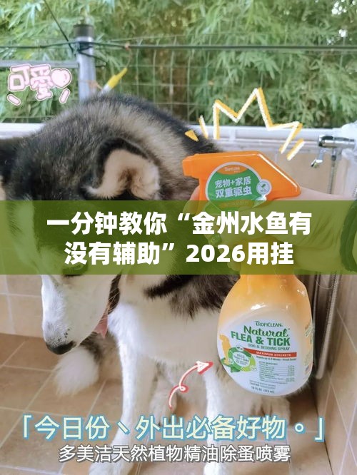 一分钟教你“金州水鱼有没有辅助”2026用挂