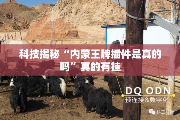 科技揭秘“内蒙王牌插件是真的吗	”真的有挂