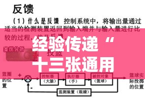 经验传递“十三张通用果然可以开挂	”可以透视