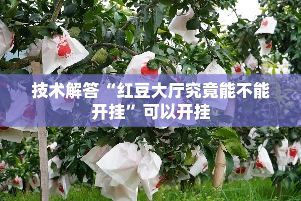 技术解答“红豆大厅究竟能不能开挂”可以开挂