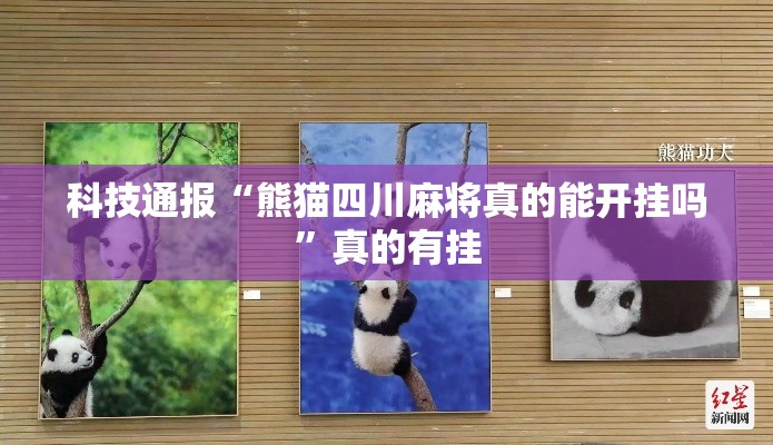 科技通报“熊猫四川麻将真的能开挂吗”真的有挂