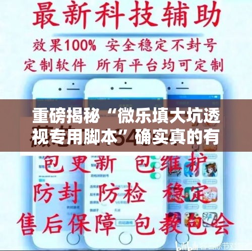 重磅揭秘“微乐填大坑透视专用脚本”确实真的有挂