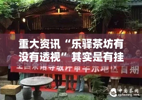 重大资讯“乐驿茶坊有没有透视”其实是有挂