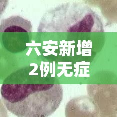 六安新增2例无症状/安徽六安新增1例无症状感染者轨迹