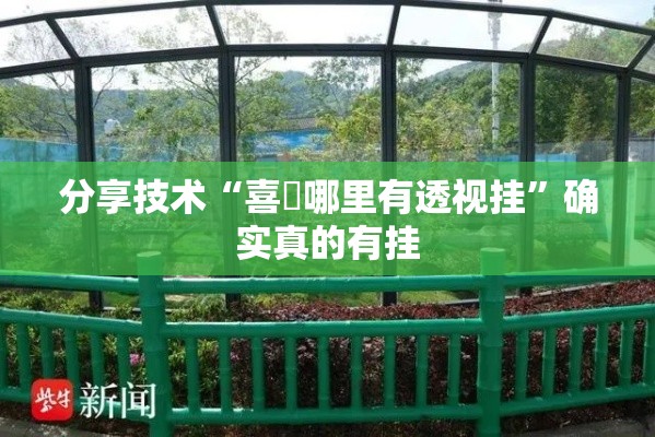 分享技术“喜園哪里有透视挂”确实真的有挂