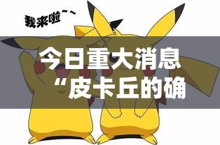 今日重大消息“皮卡丘的确有挂	”开挂作弊