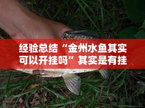 经验总结“金州水鱼其实可以开挂吗”其实是有挂