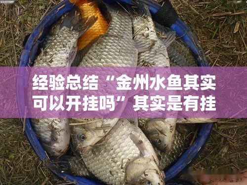 经验总结“金州水鱼其实可以开挂吗”其实是有挂