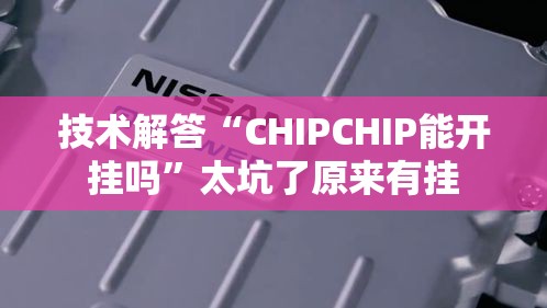技术解答“CHIPCHIP能开挂吗”太坑了原来有挂
