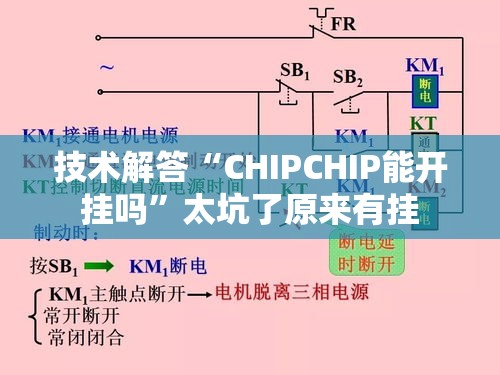 技术解答“CHIPCHIP能开挂吗	”太坑了原来有挂