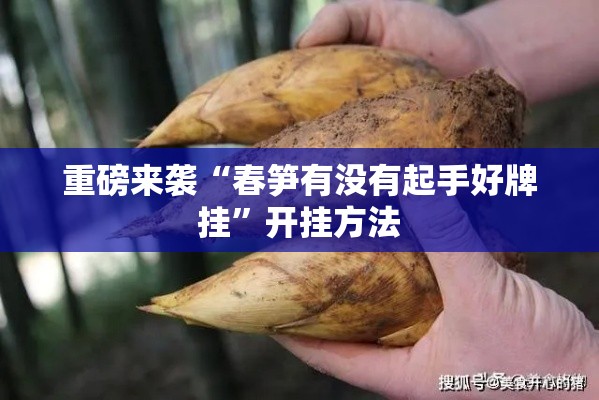 重磅来袭“春笋有没有起手好牌挂”开挂方法