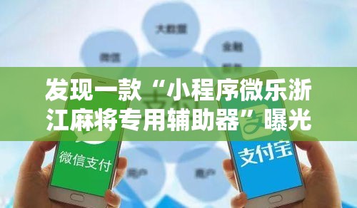 发现一款“小程序微乐浙江麻将专用辅助器”曝光透视猫腻