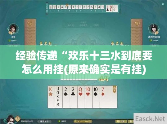 经验传递“欢乐十三水到底要怎么用挂(原来确实是有挂)