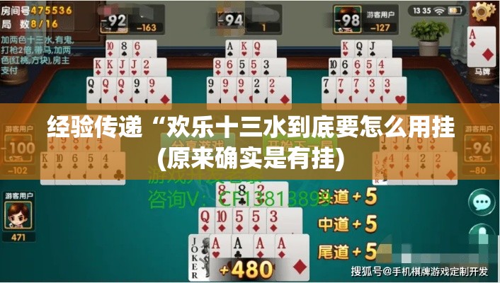 经验传递“欢乐十三水到底要怎么用挂(原来确实是有挂)