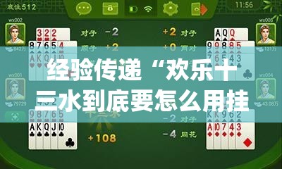 经验传递“欢乐十三水到底要怎么用挂(原来确实是有挂)