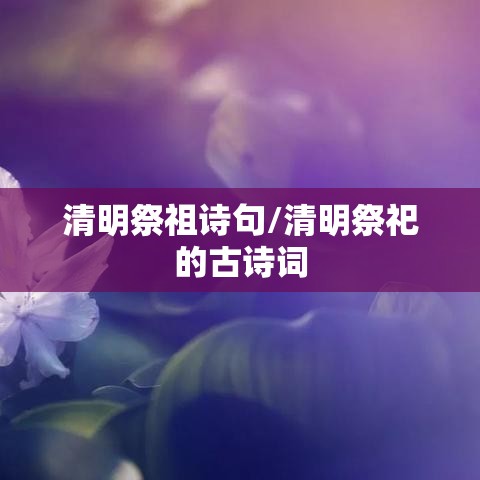 清明祭祖诗句/清明祭祀的古诗词 清明祭祖诗句/清明祭祀的古诗词