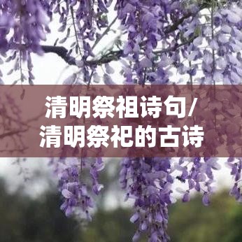 清明祭祖诗句/清明祭祀的古诗词 清明祭祖诗句/清明祭祀的古诗词
