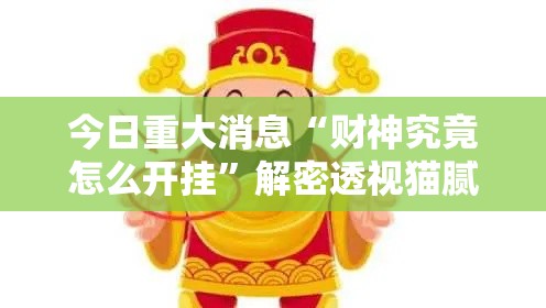 今日重大消息“财神究竟怎么开挂”解密透视猫腻