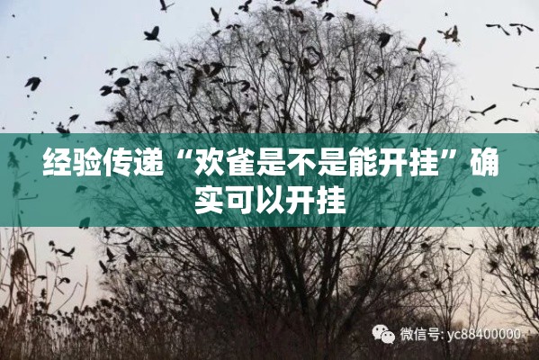 经验传递“欢雀是不是能开挂”确实可以开挂