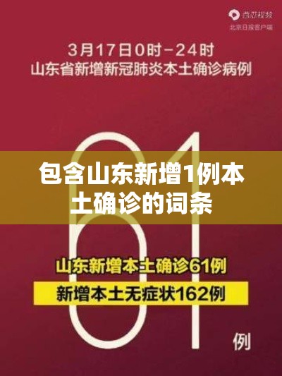 包含山东新增1例本土确诊的词条