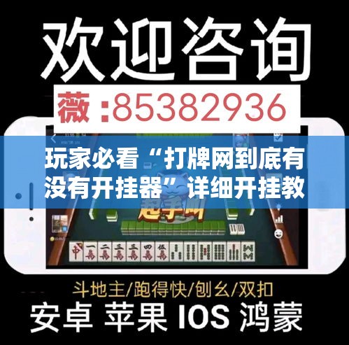 玩家必看“打牌网到底有没有开挂器”详细开挂教材
